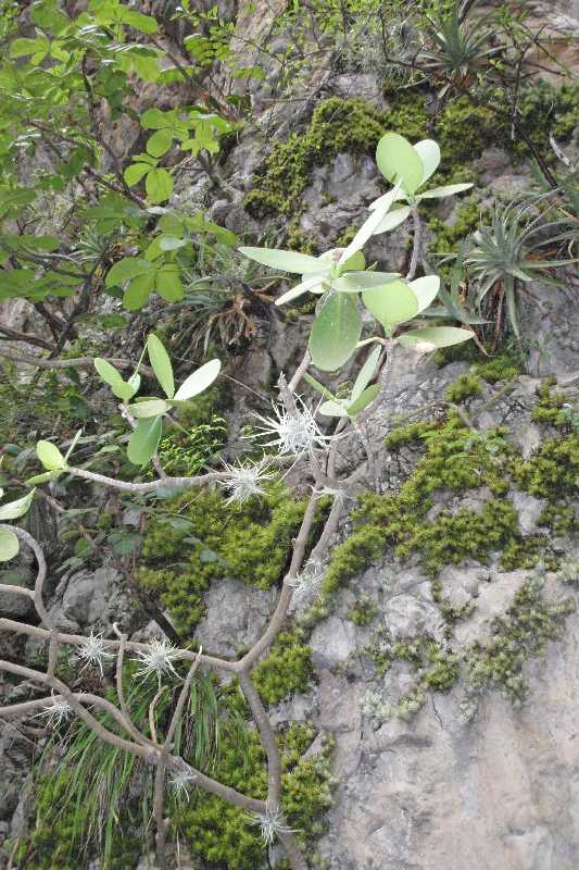 Mexico & Guatemala 2010 - 0372